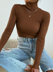 Brown Ripped Turtle Neck